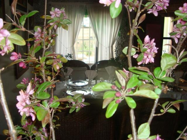 44 On Ennis Guest Lodge And Restaurant - No Load Sheddding Ermelo Bagian luar foto