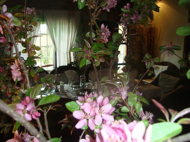 44 On Ennis Guest Lodge And Restaurant - No Load Sheddding Ermelo Bagian luar foto